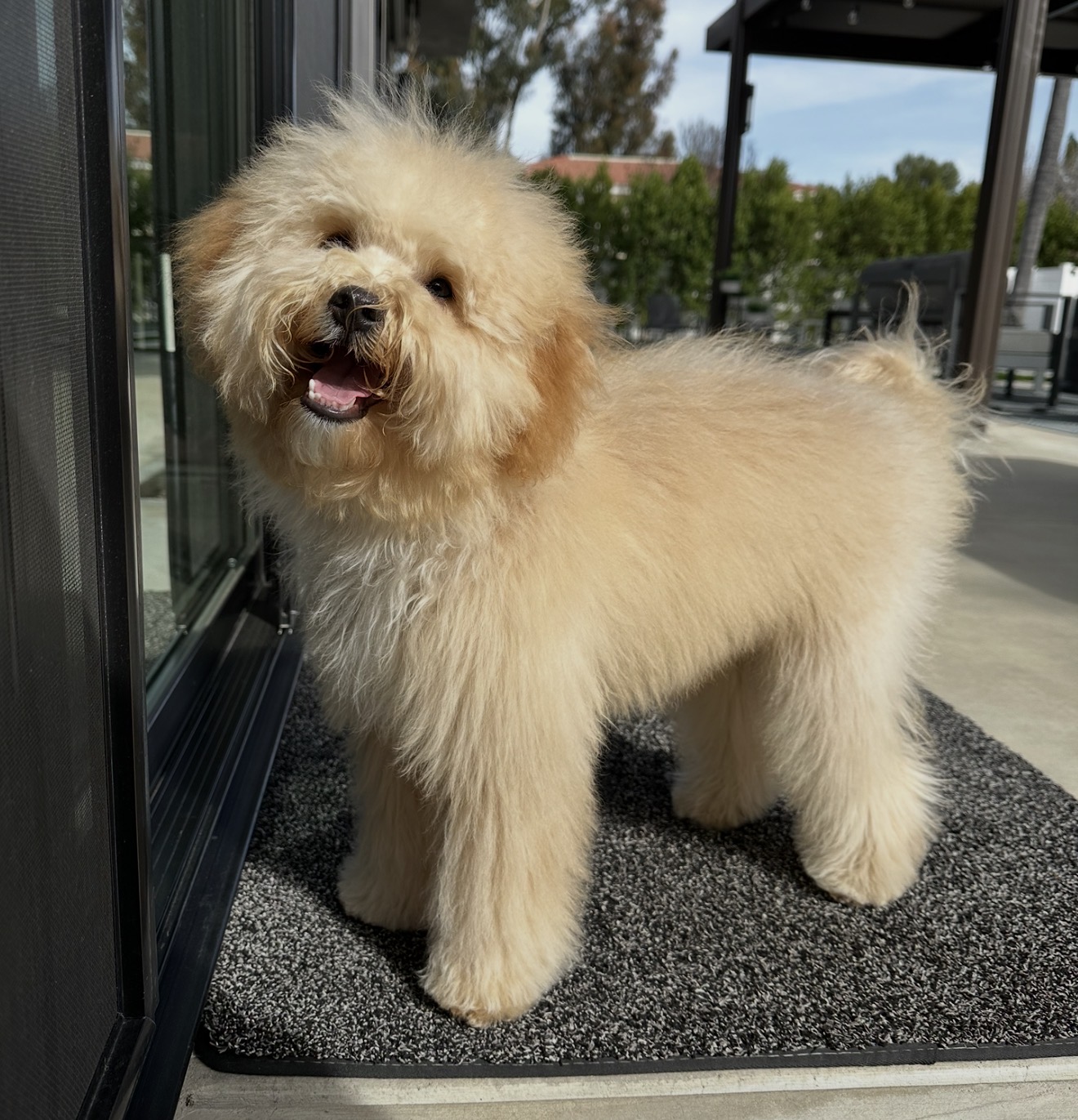 Younger Benny standing and smiling