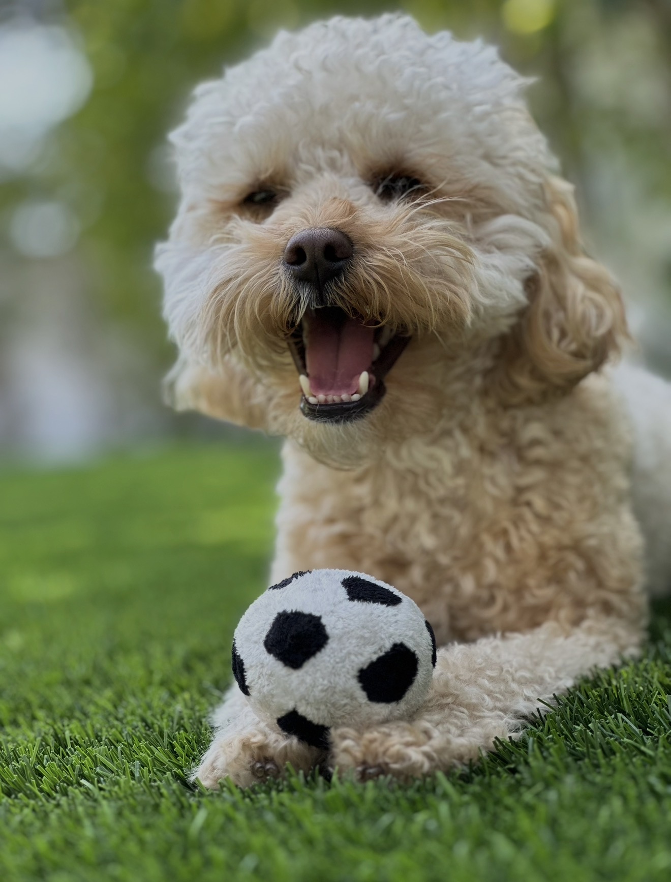 Benny with his soccer ball