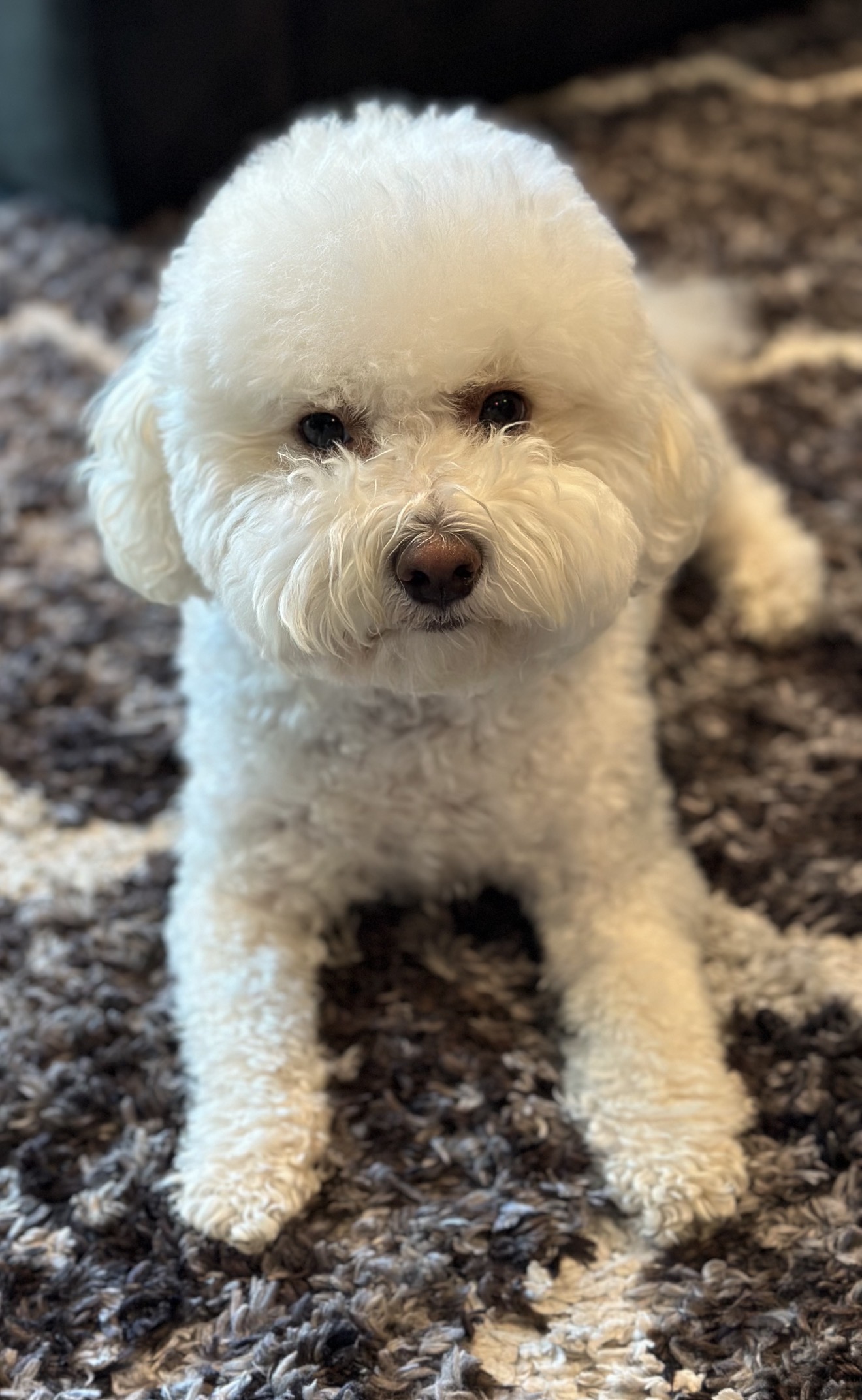 Cash laying on a walkway