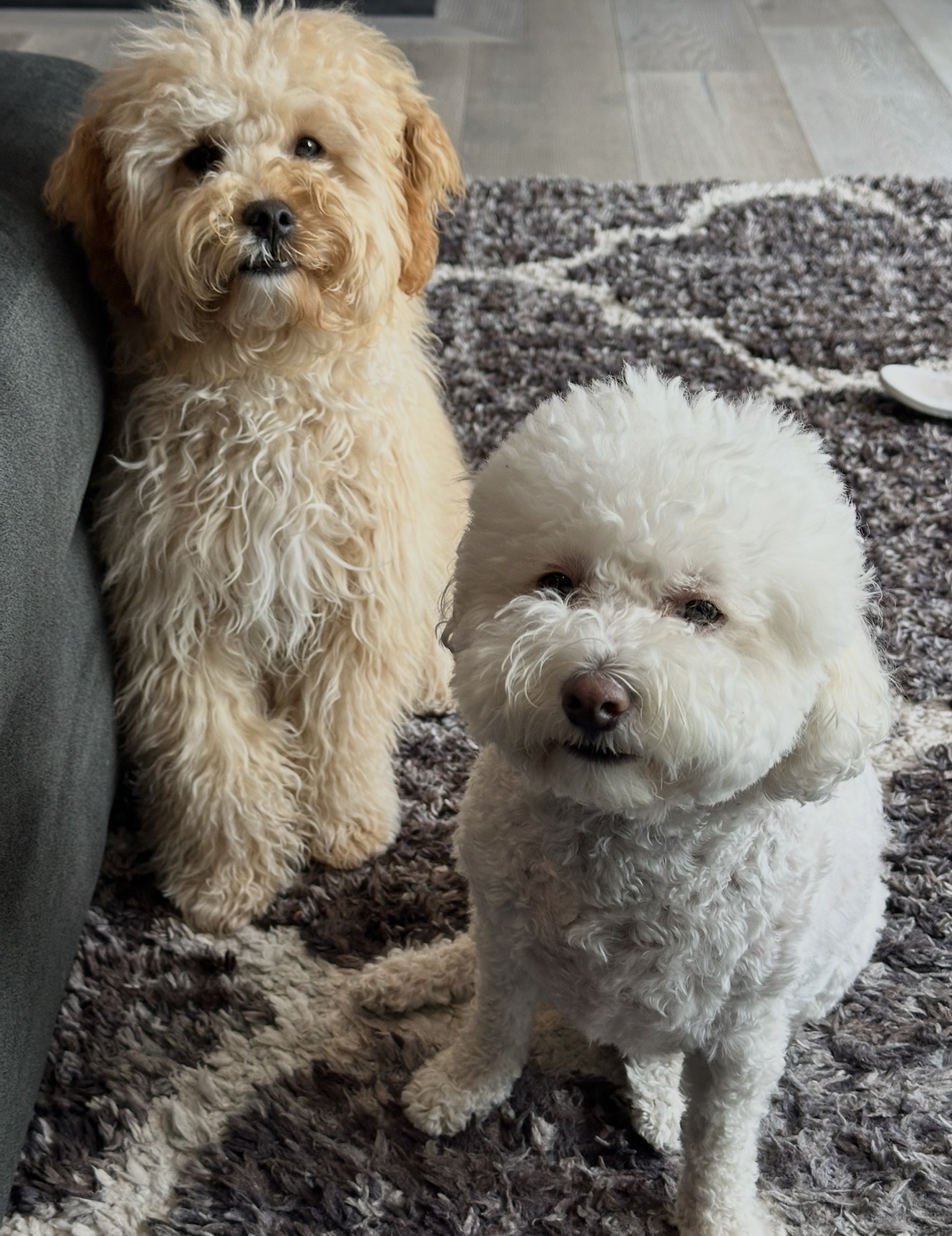 Benny running toward the camera while Cash watches in the background